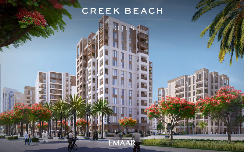 Lotus Creek Beach